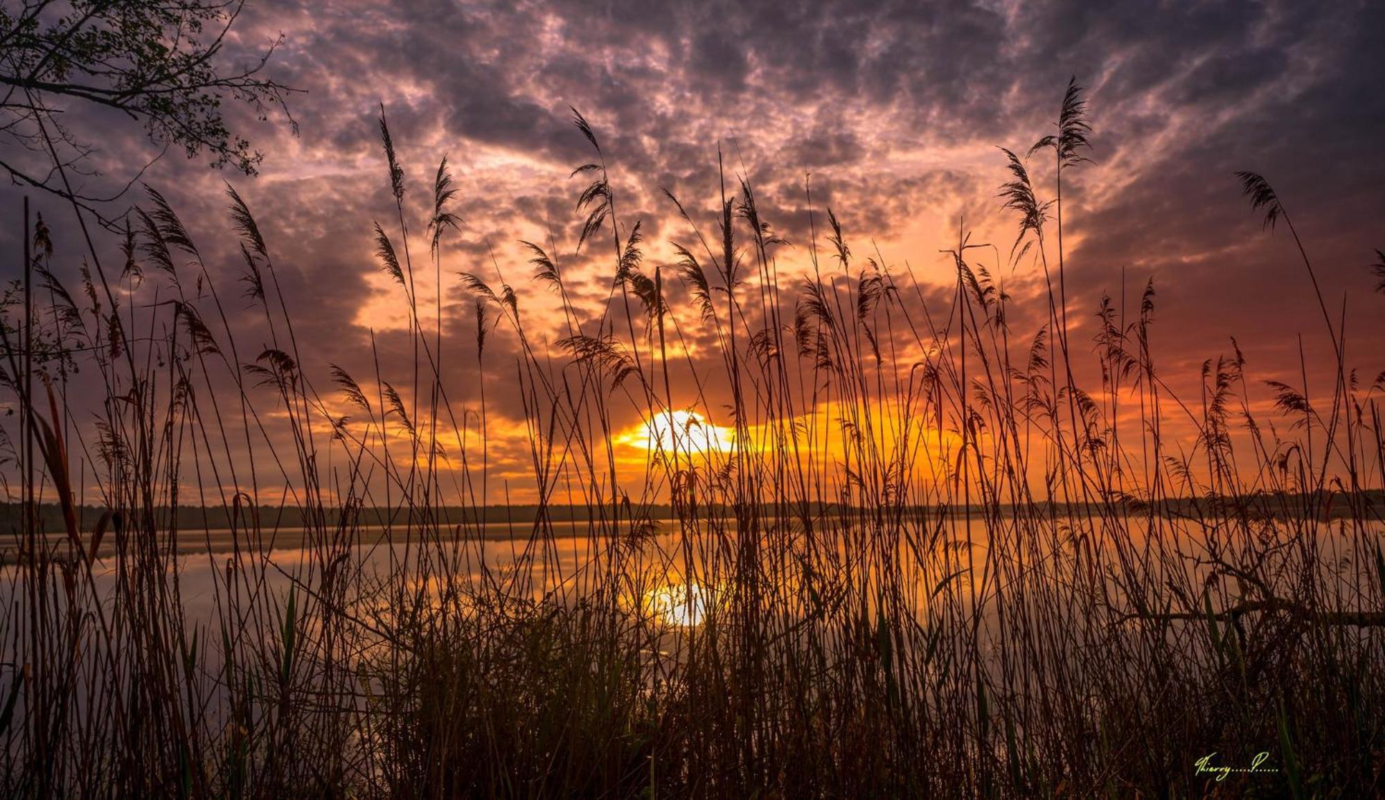 Aureilhan  Vk Lake מראה חיצוני תמונה